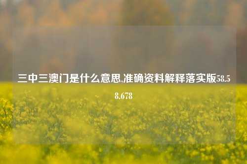 三中三澳门是什么意思,准确资料解释落实版58.58.678