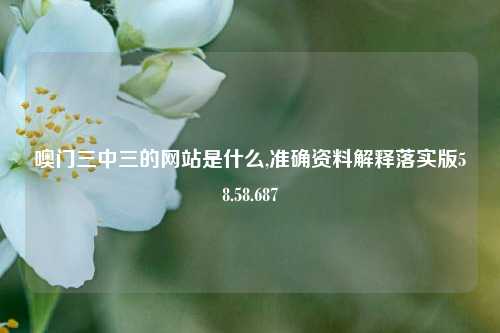 噢门三中三的网站是什么,准确资料解释落实版58.58.687