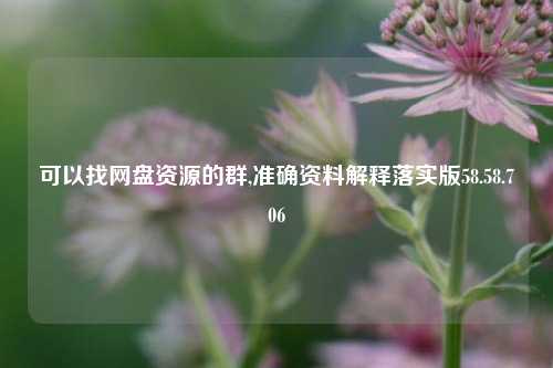 可以找网盘资源的群,准确资料解释落实版58.58.706