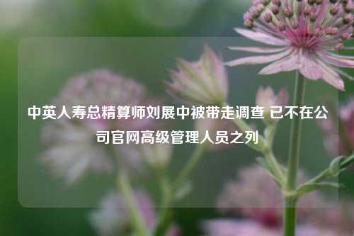 中英人寿总精算师刘展中被带走调查 已不在公司官网高级管理人员之列