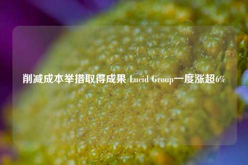 削减成本举措取得成果 Lucid Group一度涨超6%