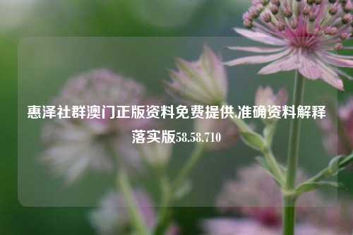 惠泽社群澳门正版资料免费提供,准确资料解释落实版58.58.710