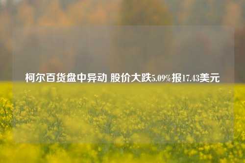 柯尔百货盘中异动 股价大跌5.09%报17.43美元