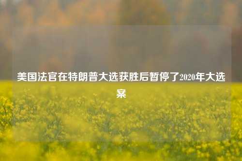 美国法官在特朗普大选获胜后暂停了2020年大选案