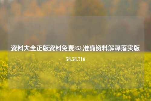 资料大全正版资料免费853,准确资料解释落实版58.58.716