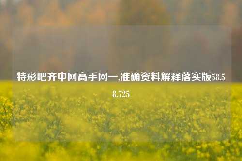 特彩吧齐中网高手网一,准确资料解释落实版58.58.725