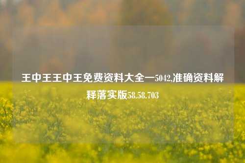 王中王王中王免费资料大全一5042,准确资料解释落实版58.58.703