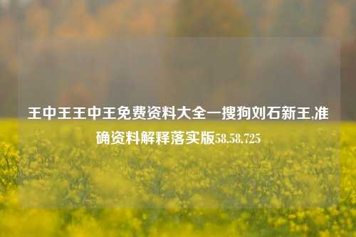 王中王王中王免费资料大全一搜狗刘石新王,准确资料解释落实版58.58.725