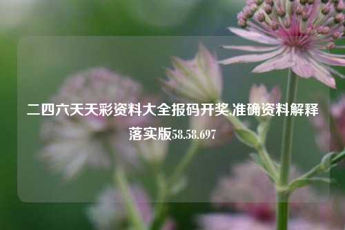 二四六天天彩资料大全报码开奖,准确资料解释落实版58.58.697