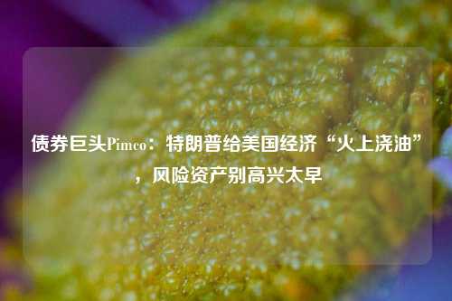 债券巨头Pimco：特朗普给美国经济“火上浇油”，风险资产别高兴太早