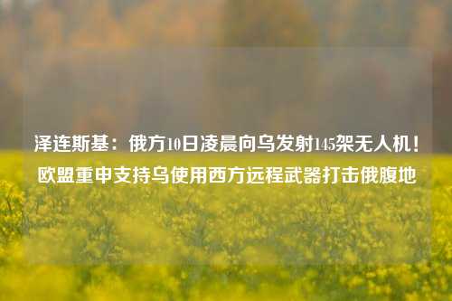 泽连斯基：俄方10日凌晨向乌发射145架无人机！欧盟重申支持乌使用西方远程武器打击俄腹地