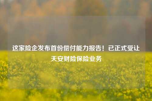 这家险企发布首份偿付能力报告！已正式受让天安财险保险业务