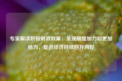 专家解读积极财政政策：呈现明显加力和更加给力，促进经济持续回升向好