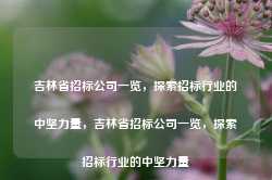 吉林省招标公司一览，探索招标行业的中坚力量，吉林省招标公司一览，探索招标行业的中坚力量-第1张图片-远眺招投标网