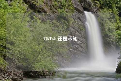 TikTok 还是未知