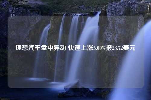 理想汽车盘中异动 快速上涨5.00%报23.72美元