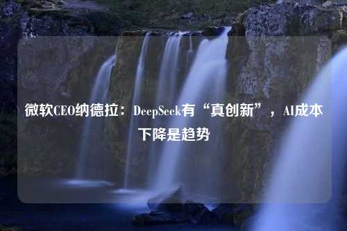 微软CEO纳德拉：DeepSeek有“真创新”，AI成本下降是趋势