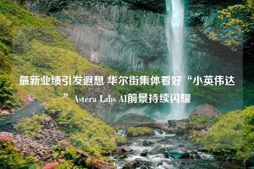 最新业绩引发遐想 华尔街集体看好“小英伟达”Astera Labs AI前景持续闪耀