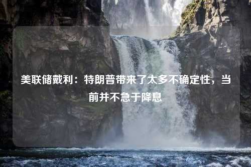 美联储戴利：特朗普带来了太多不确定性，当前并不急于降息