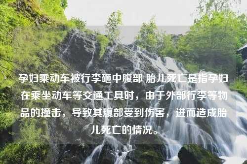 孕妇乘动车被行李砸中腹部 胎儿死亡是指孕妇在乘坐动车等交通工具时，由于外部行李等物品的撞击，导致其腹部受到伤害，进而造成胎儿死亡的情况。